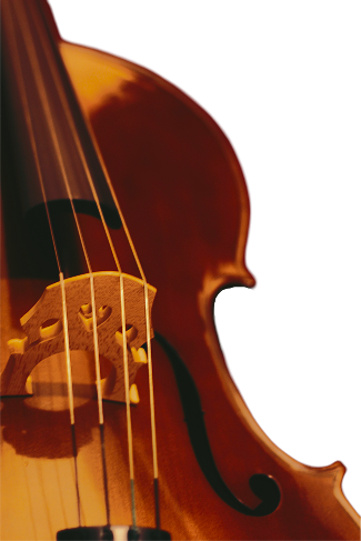 Imagem cortada ao meio de um violino marrom